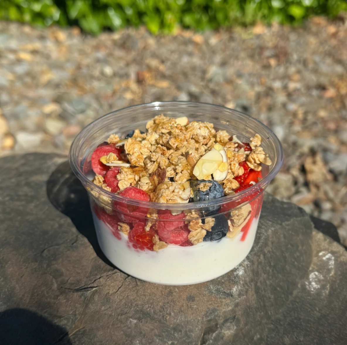 Yogurt Parfait