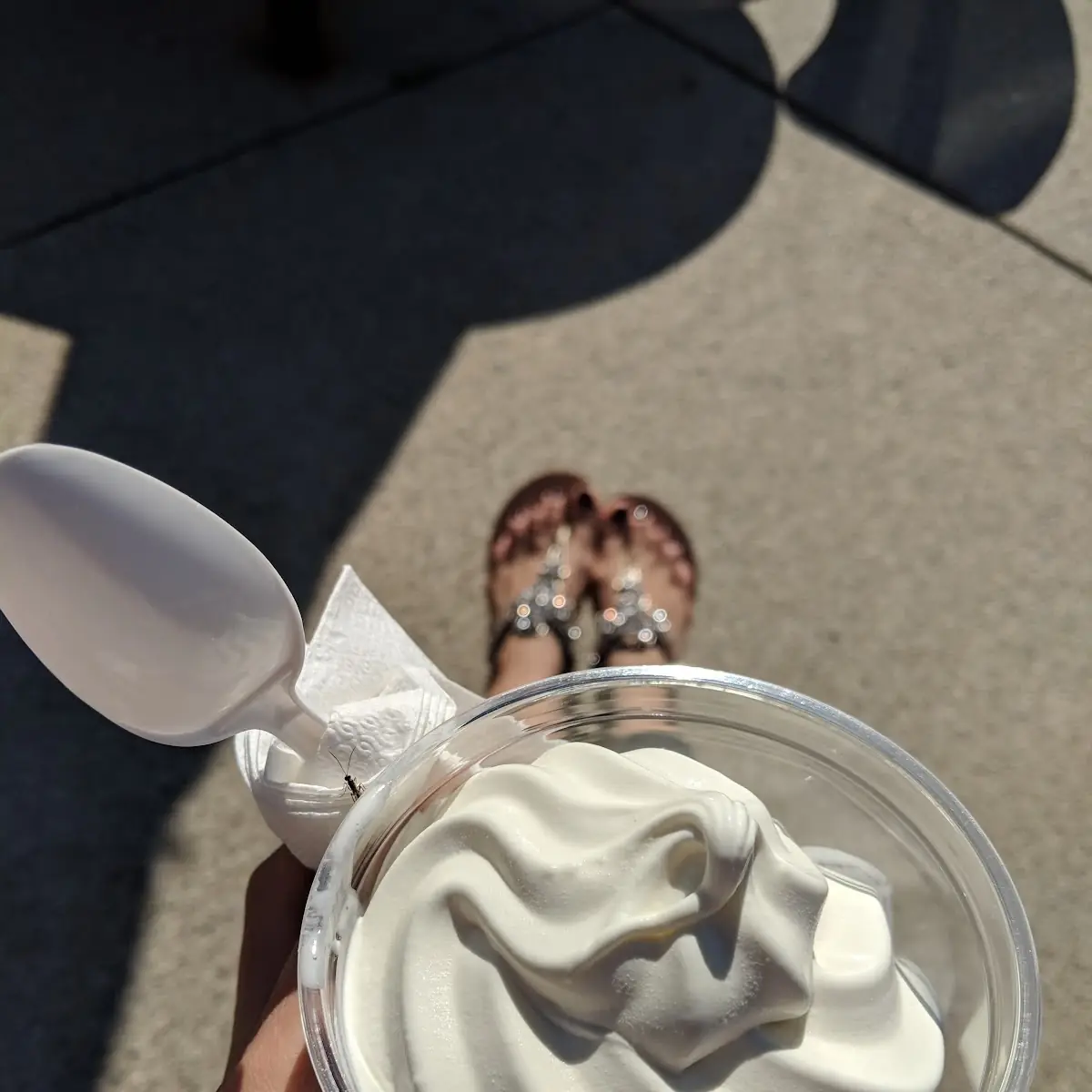 Frozen Custard Cup