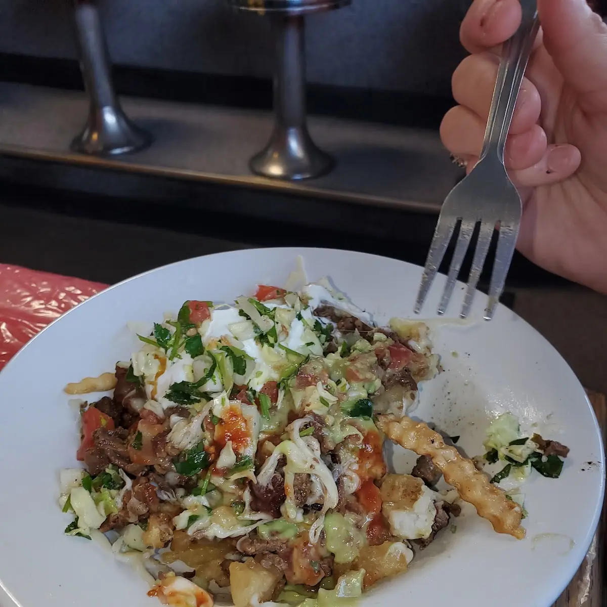 Carne Asada Fries