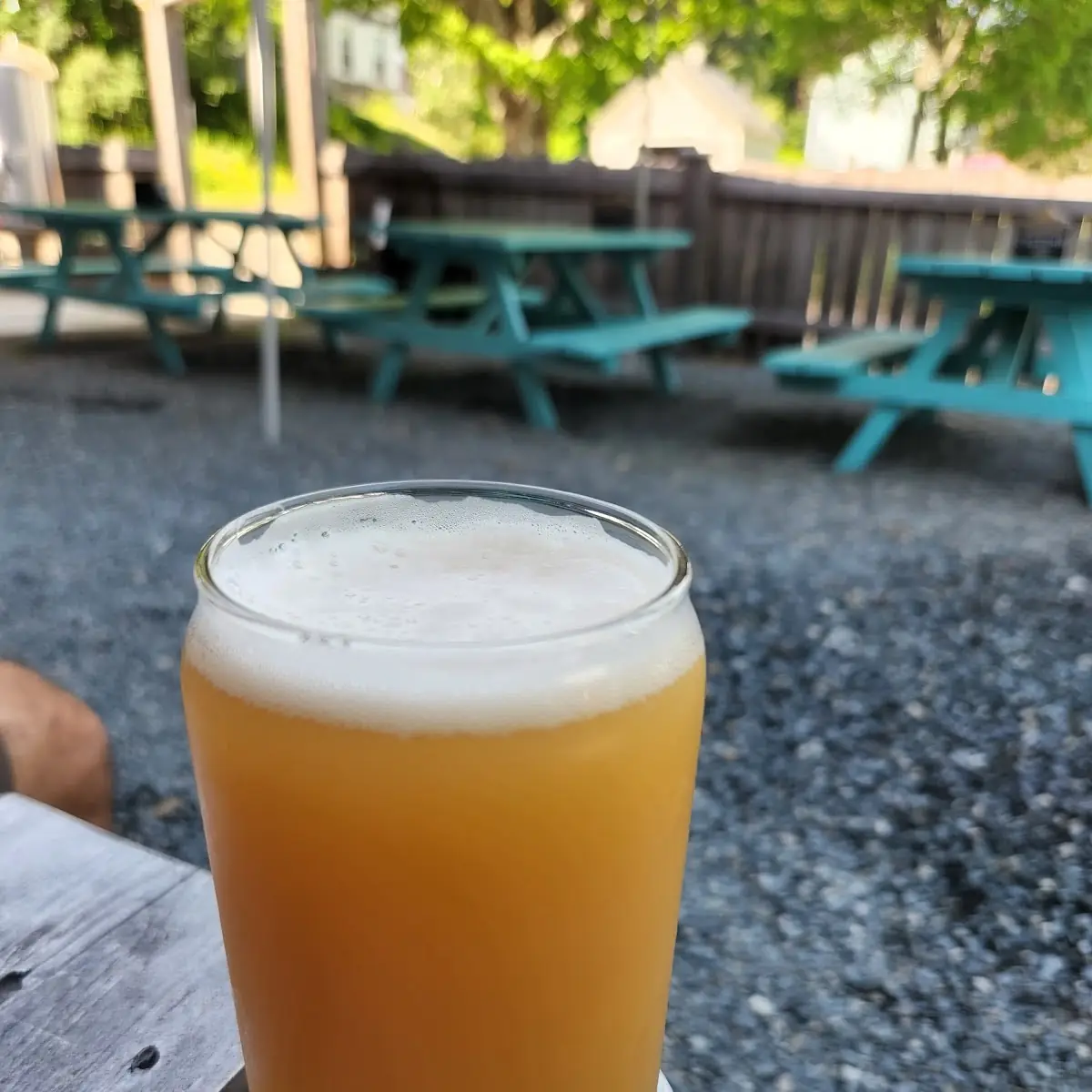 Maine Coast IPA