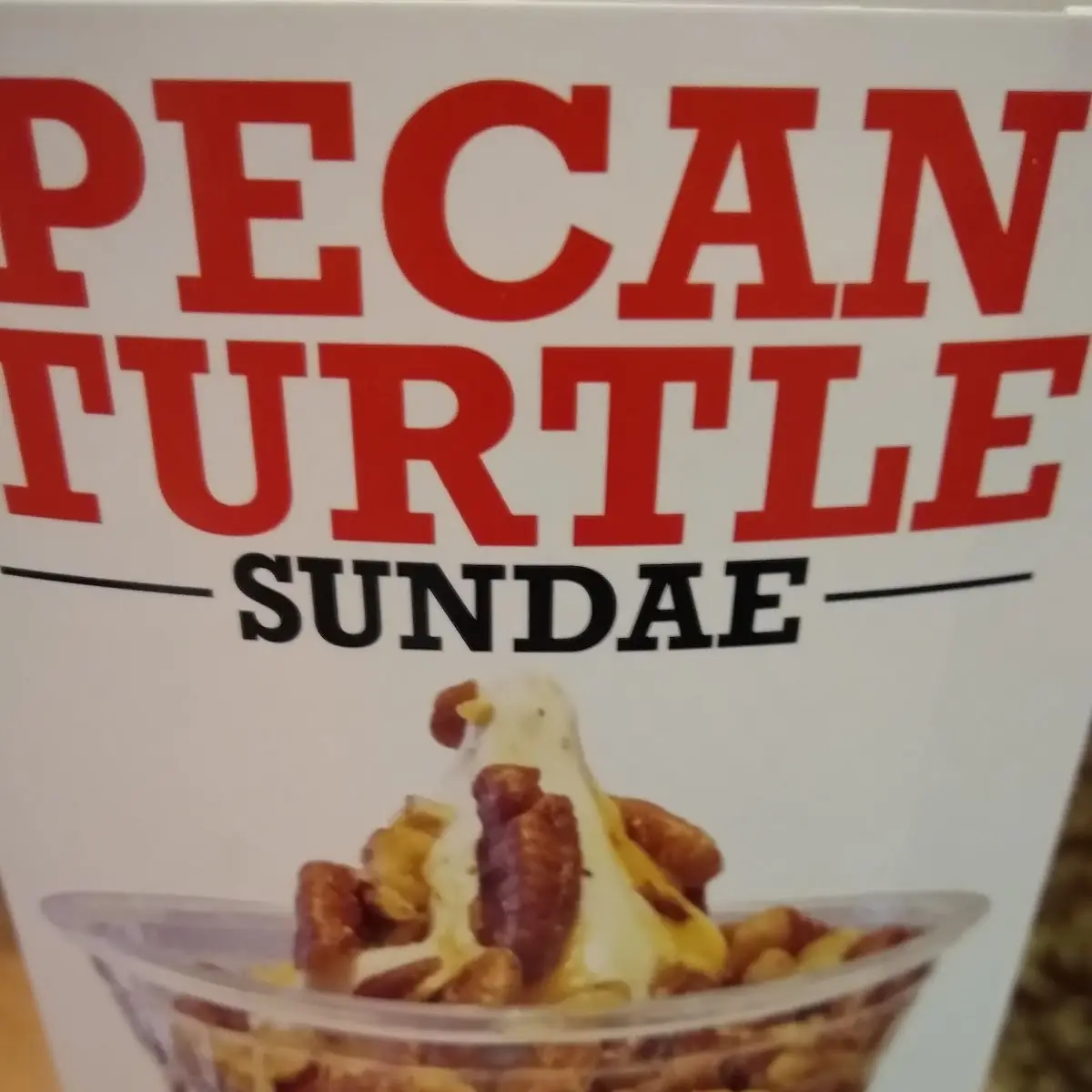 Turtle Sundae
