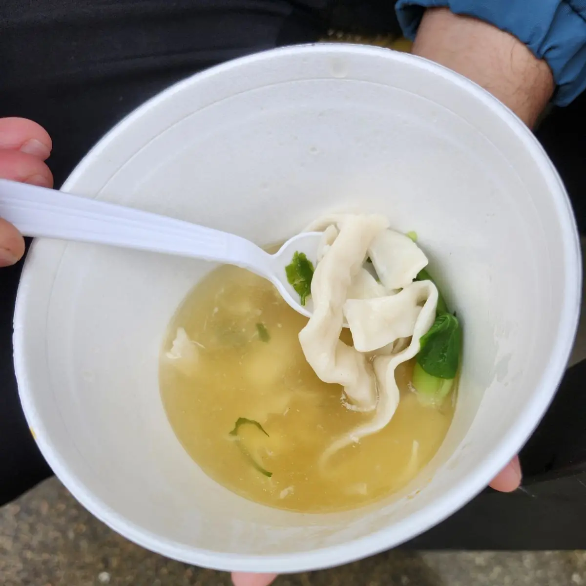 Wonton Noodle Soup
