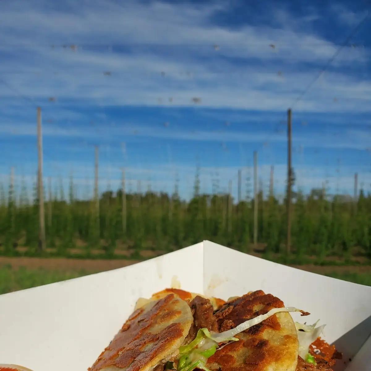 Pork Tacos