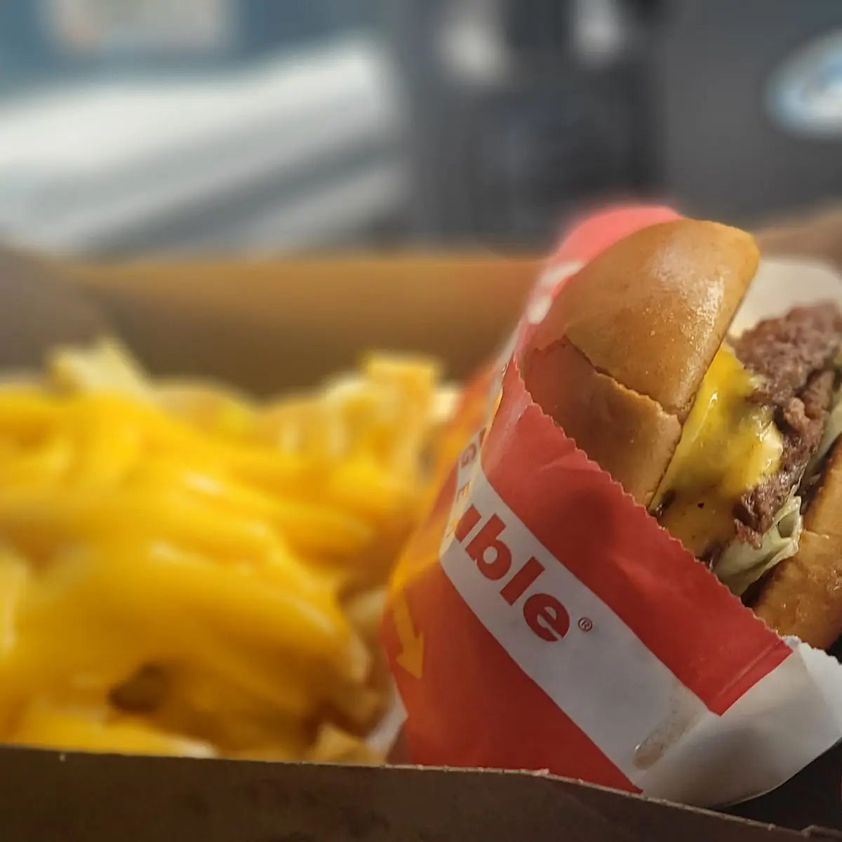 Double Double Burger Combo