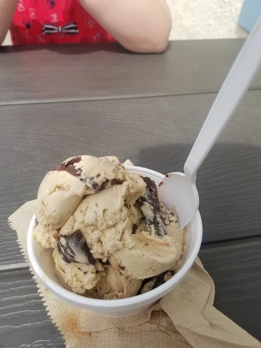 Peanut Butter Cup Ice Cream