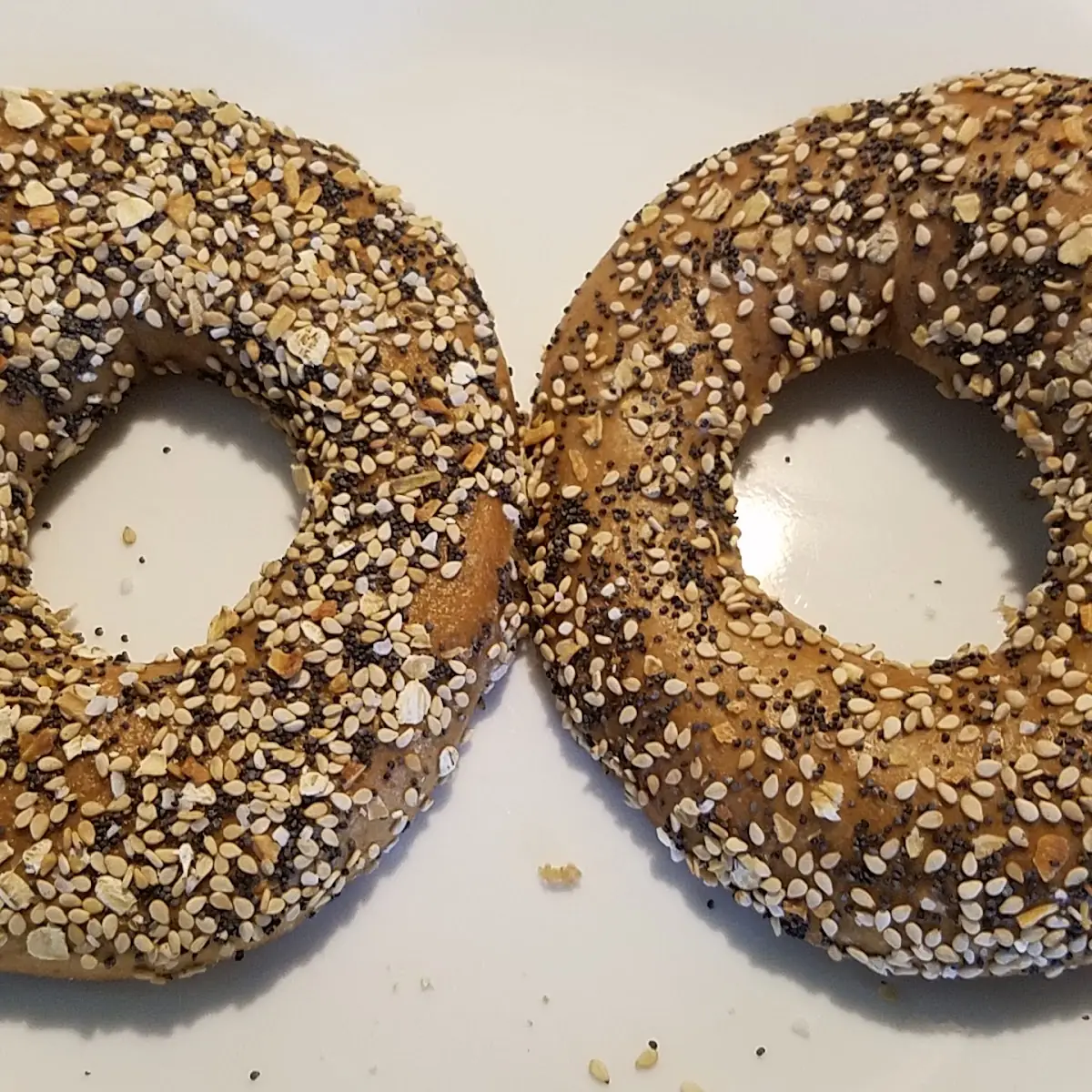 Everything Wheat Bagel