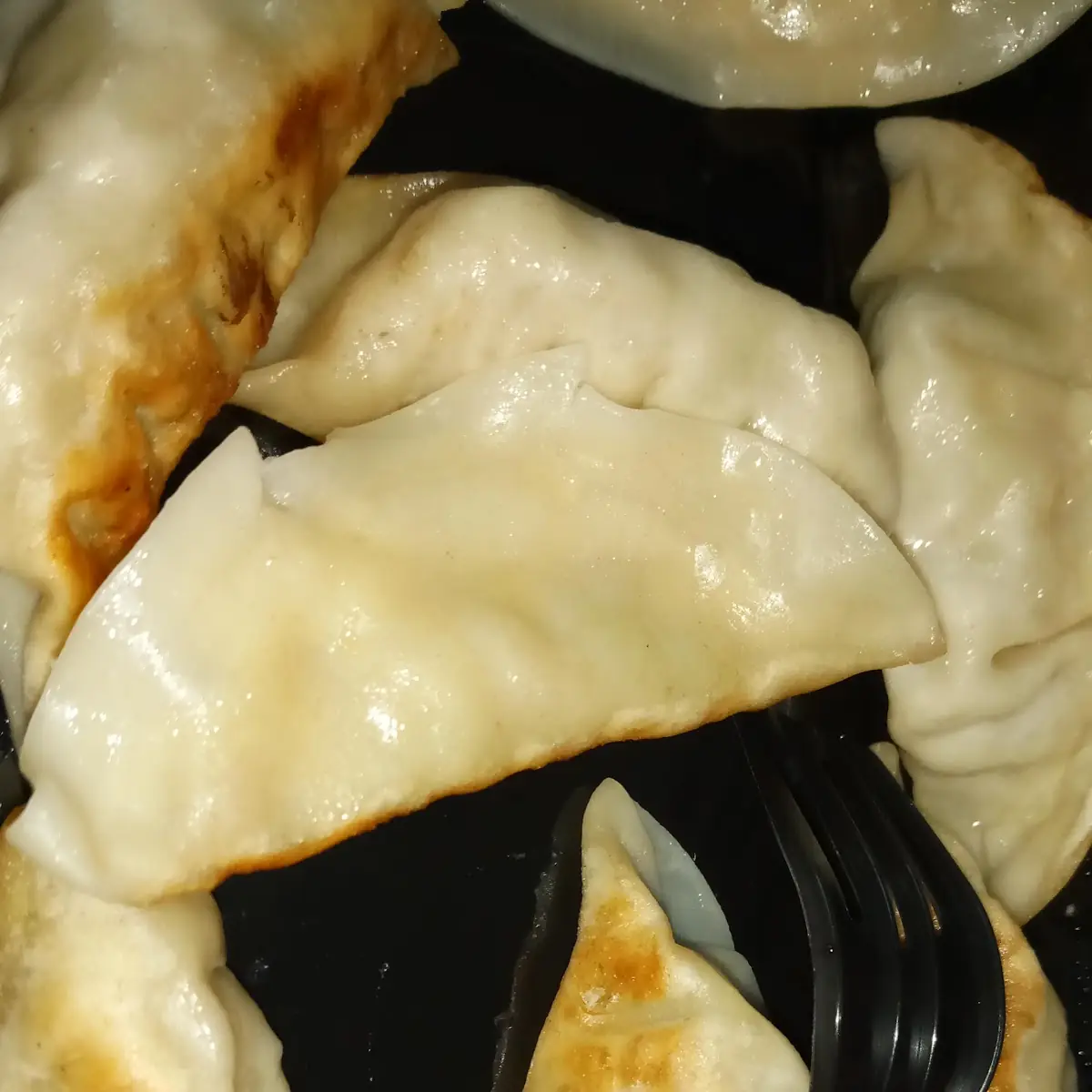 Pot Stickers