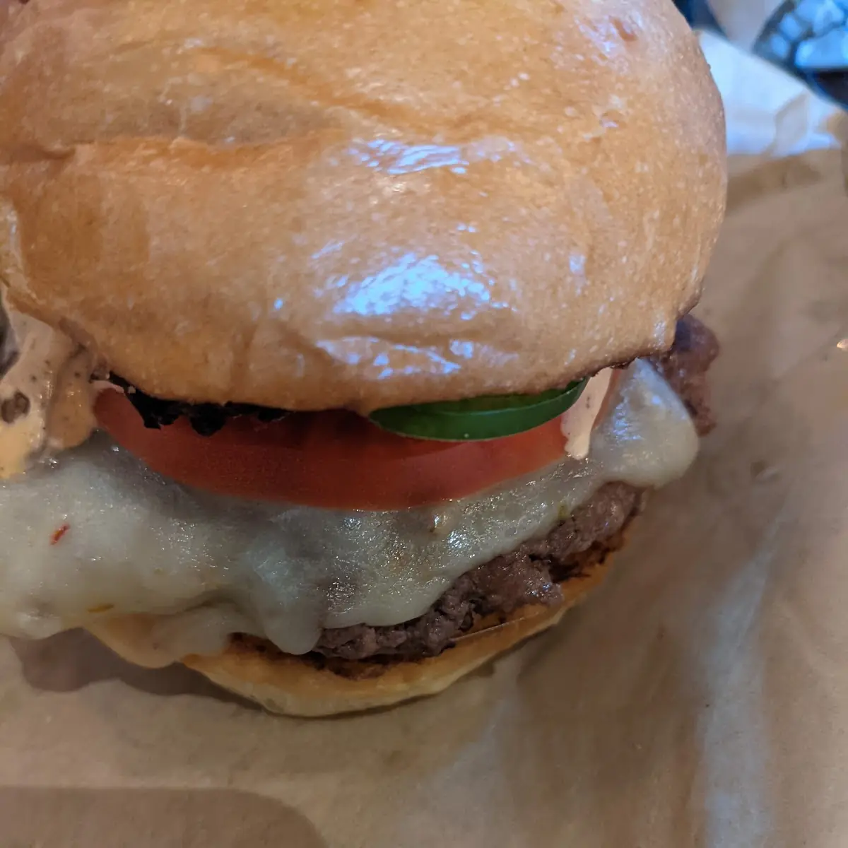 Elk Burger