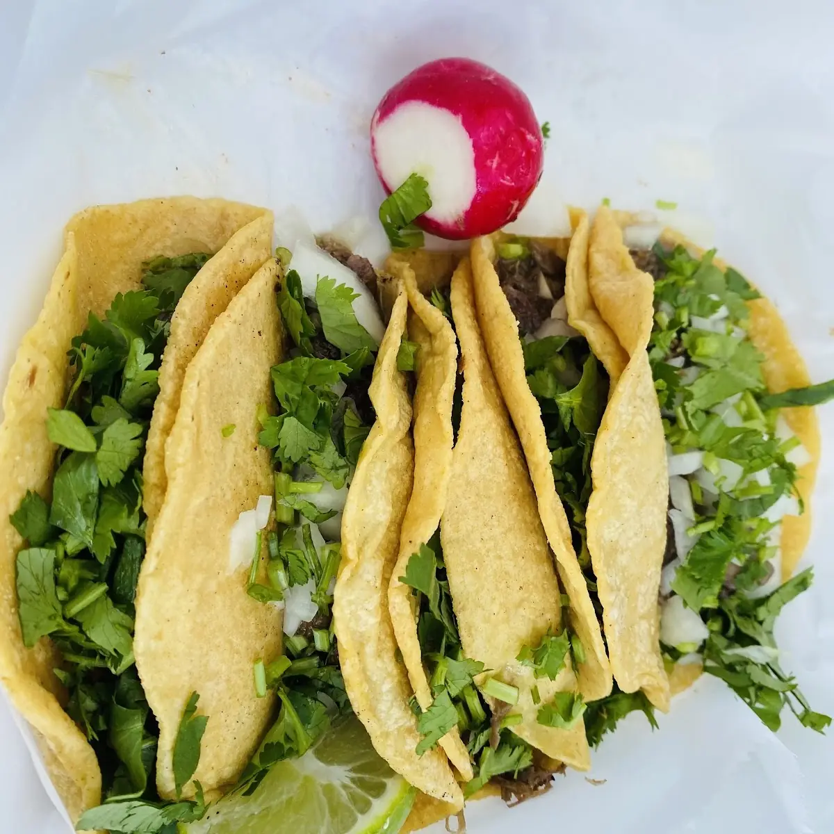 Barbacoa Tacos