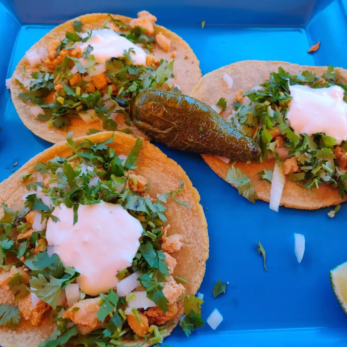 Mexican Tacos Carne Asada