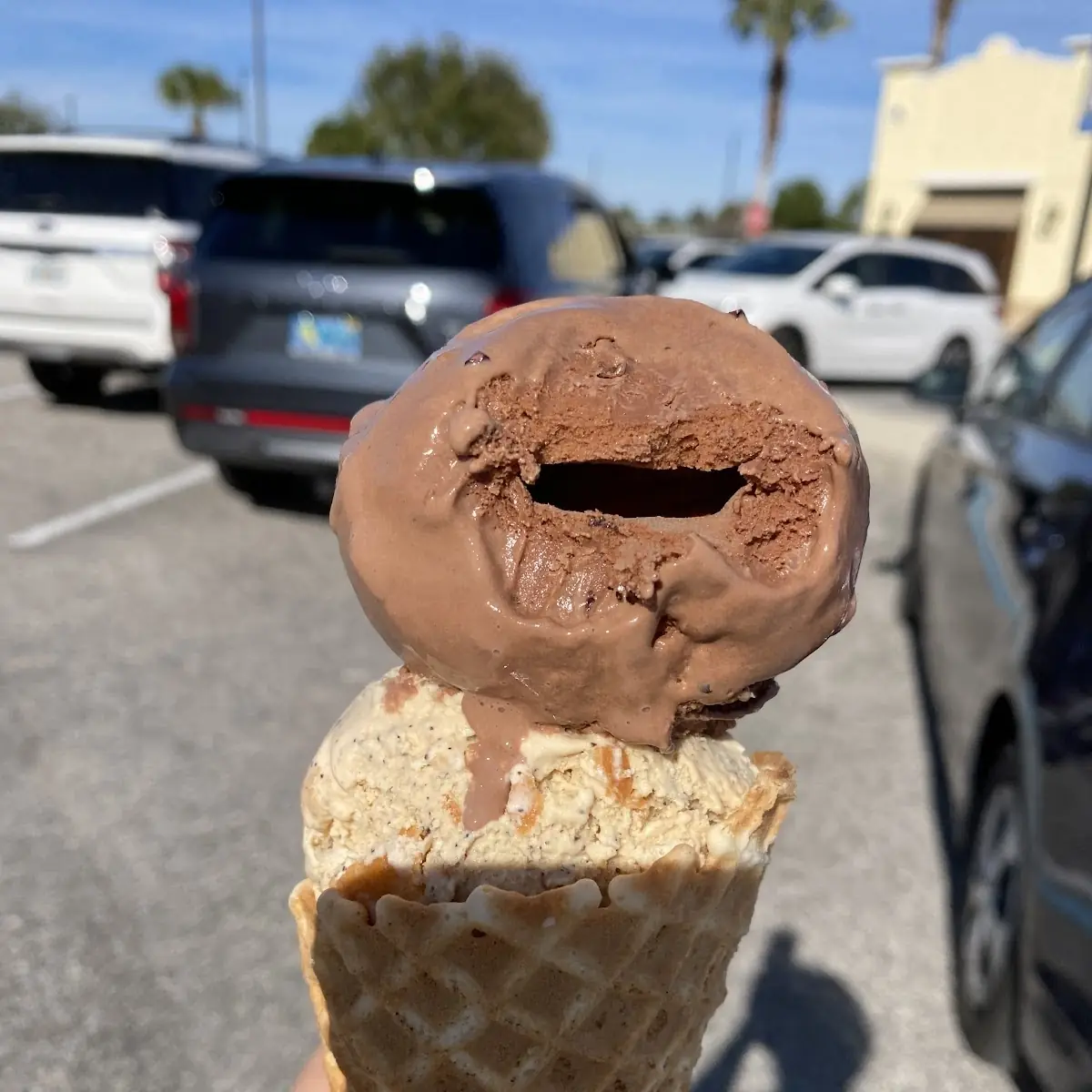 Session Chocolate Ice Cream Pint