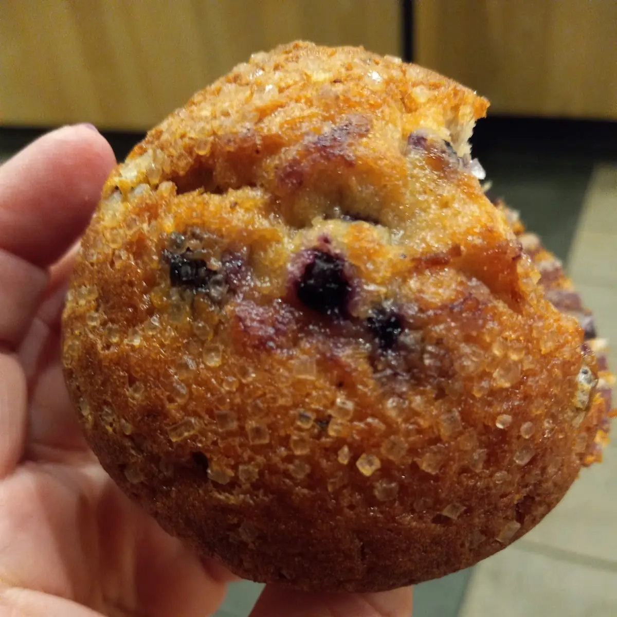 Blueberry Muffin