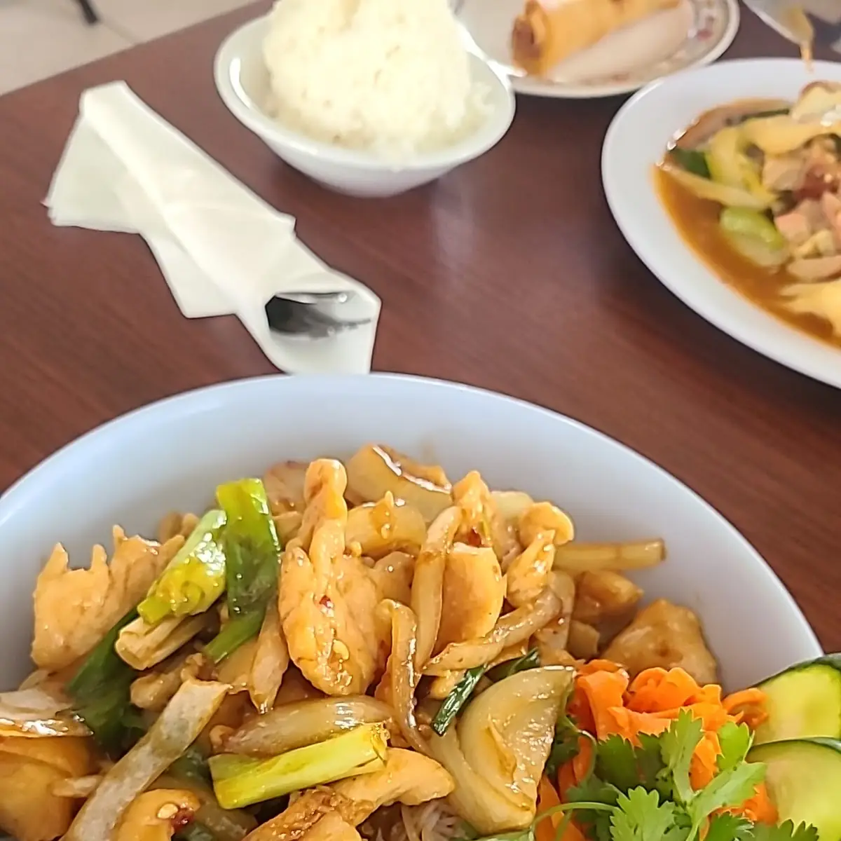 Pan Fried Noodles in Pork