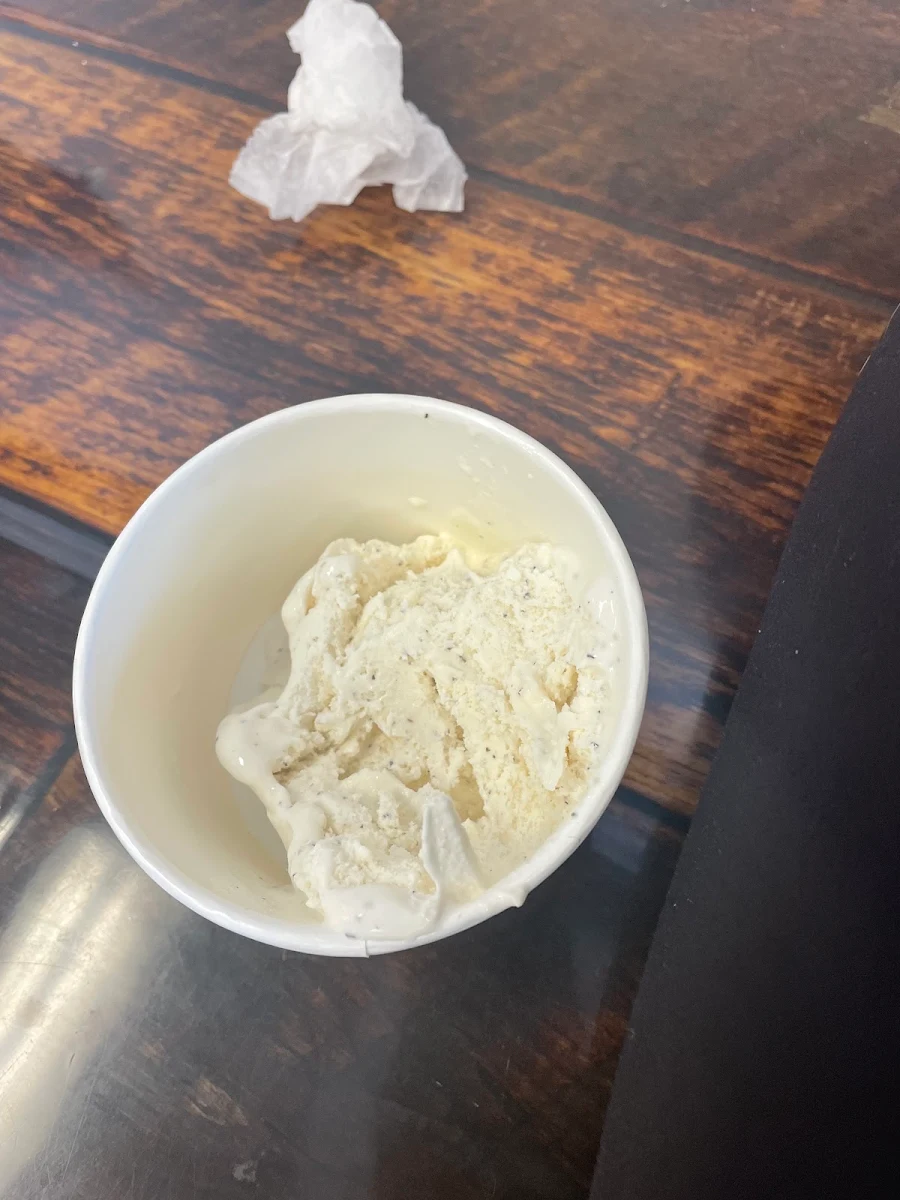 Vanilla Bean