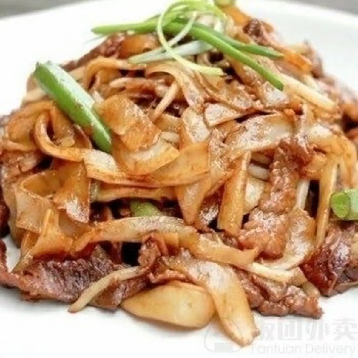 Large Yang Chow Noodle Soup