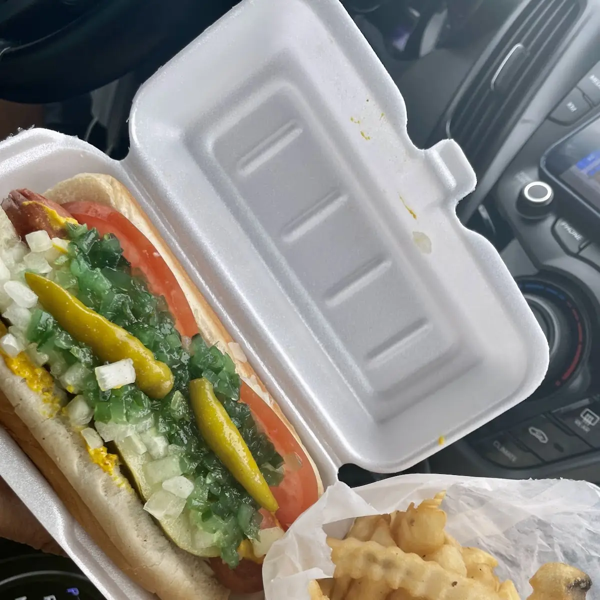 Chicago Dog