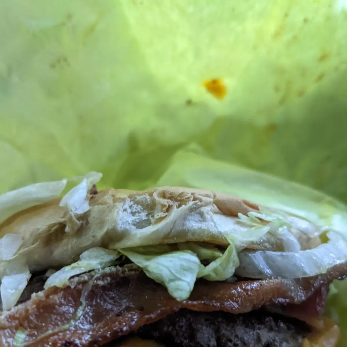 Double Bacon Cheeseburger Meal