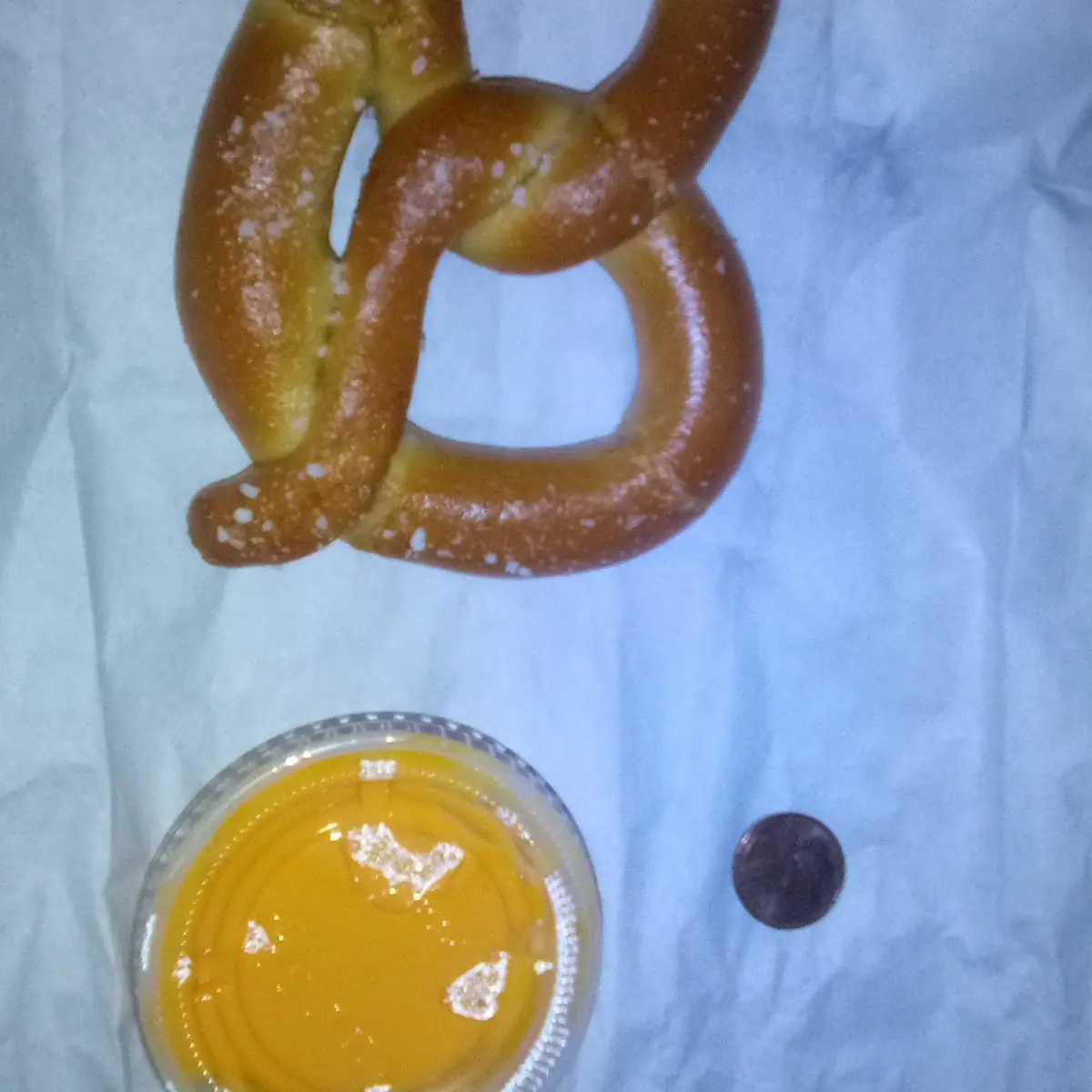 Soft Pretzel and Nacho Cheese Dip
