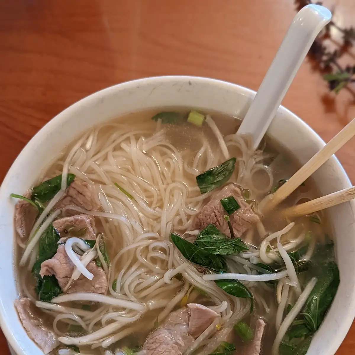 Combo Noodle Soup