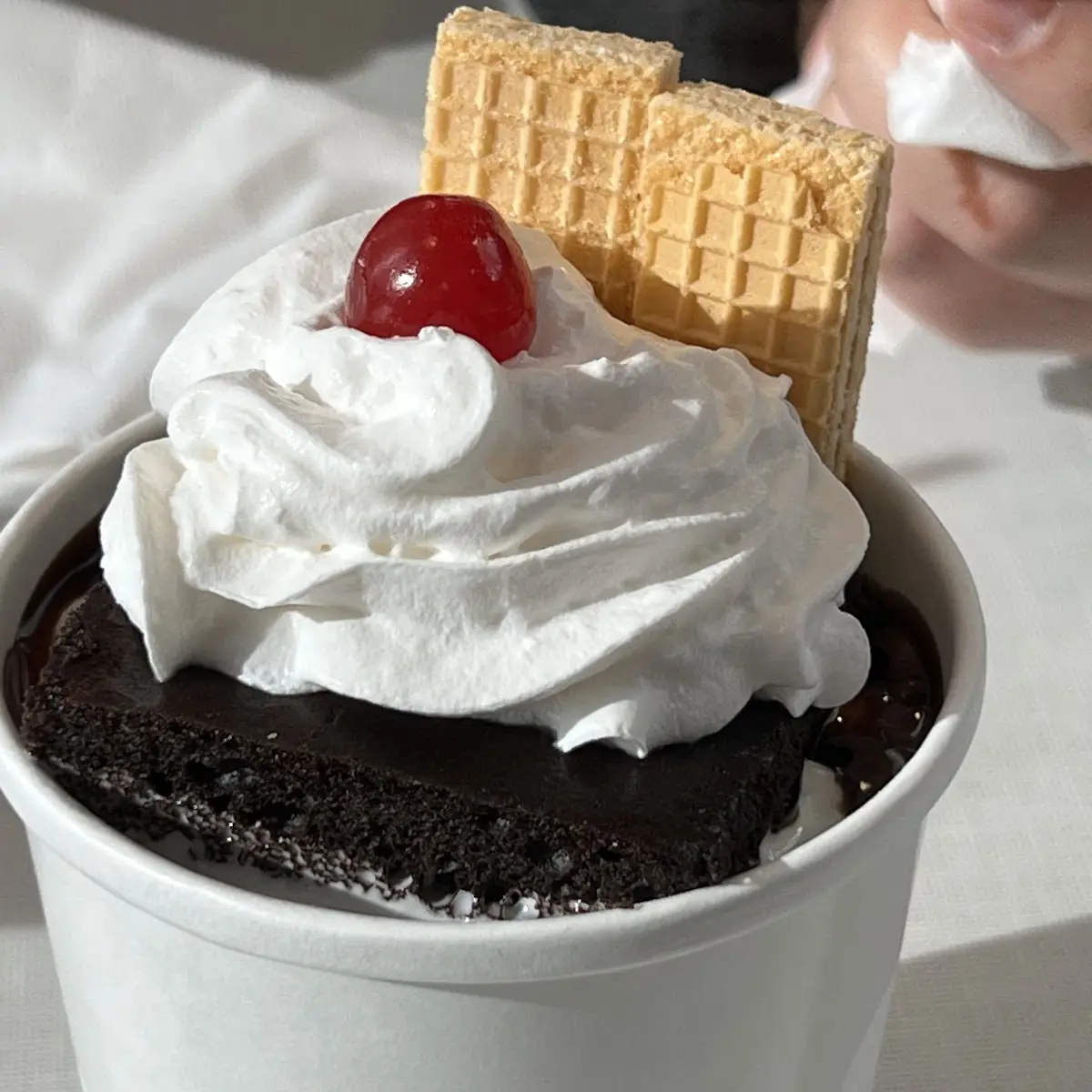 Hot Fudge Brownie