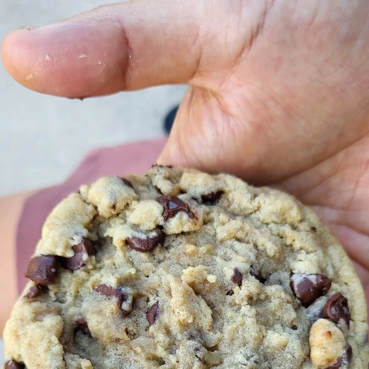 Chocolate Chip Peanut Butter Chip
