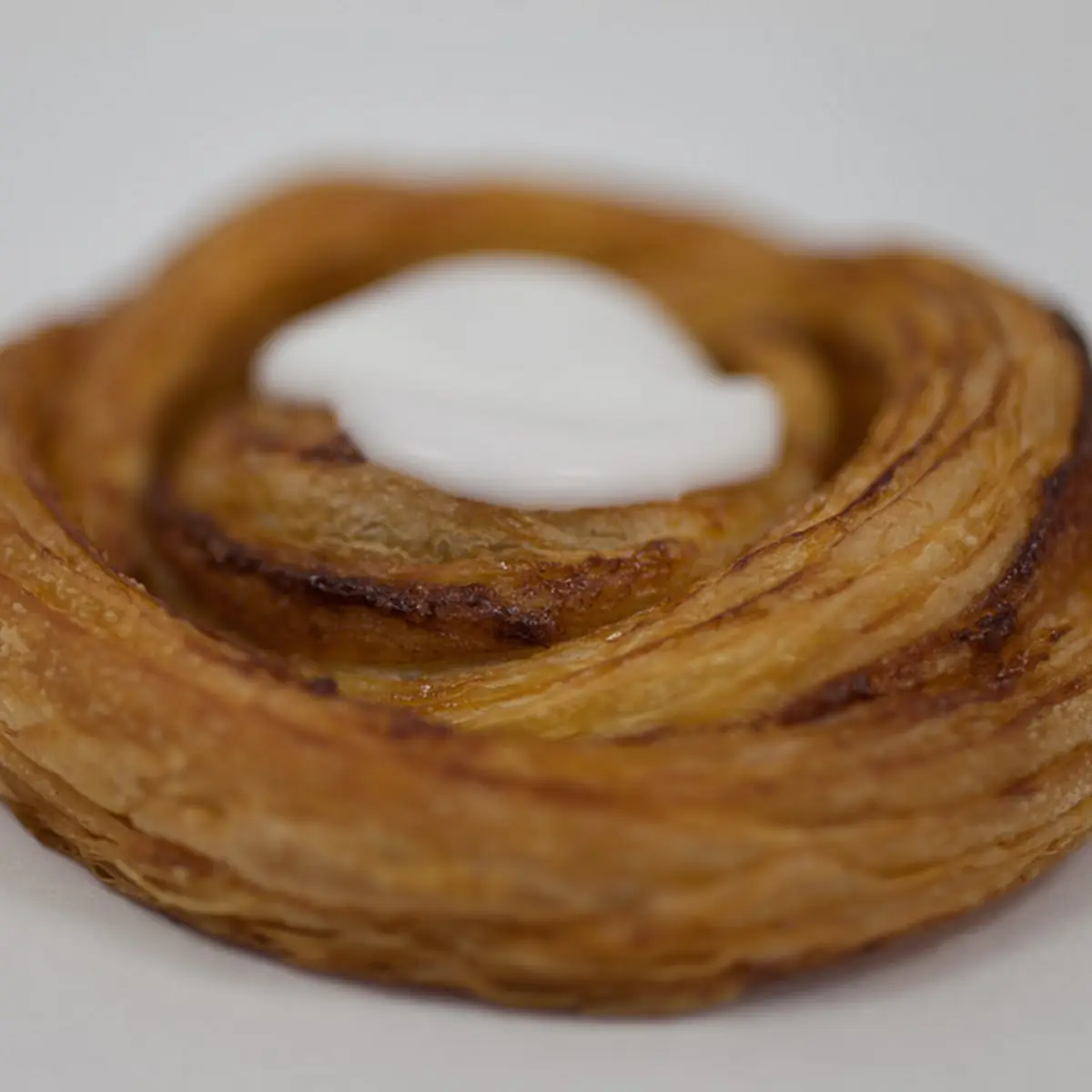 Cinnamon Roll