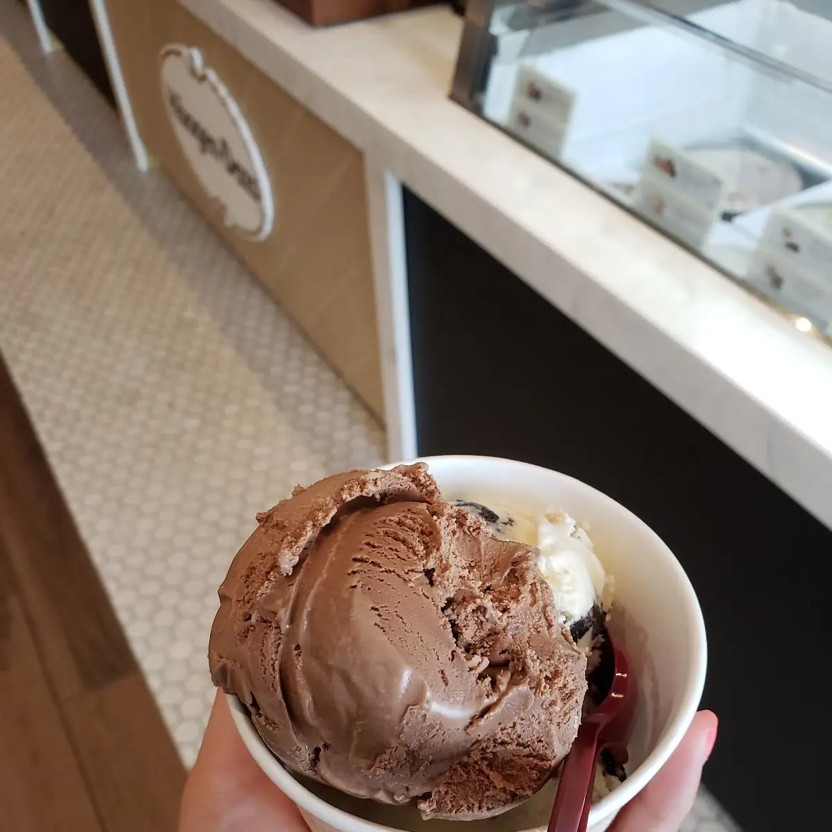 Chocolate Ice Cream