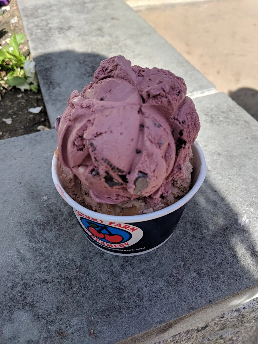 Black Raspberry Chocolate Chip