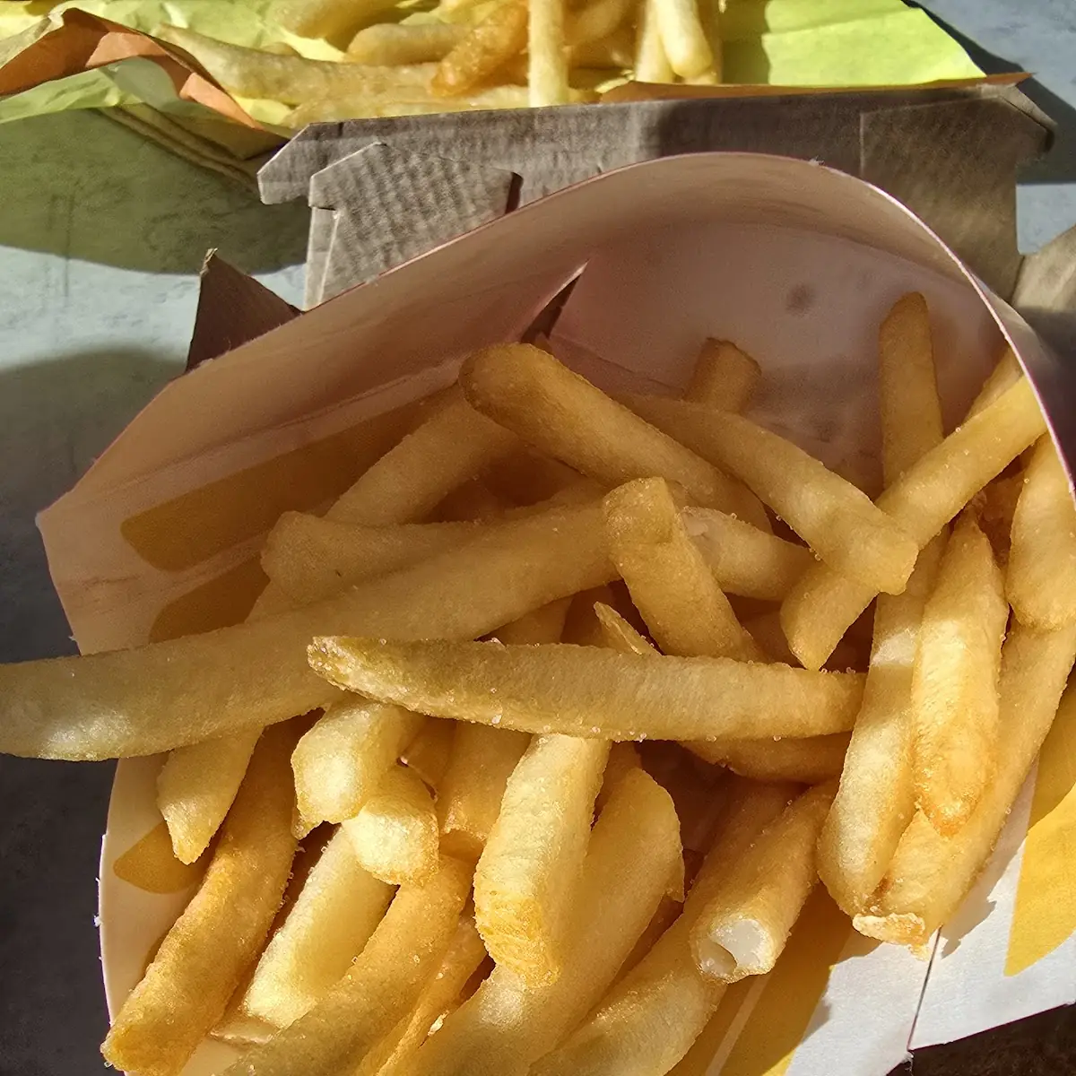 World Famous Fries