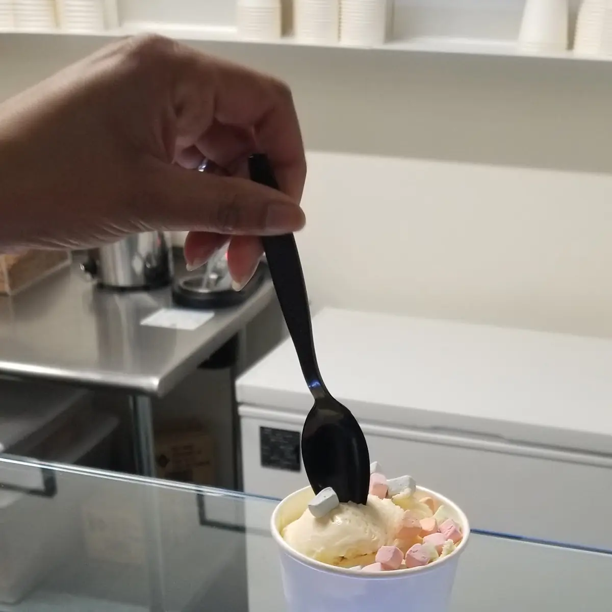 Vanilla Ice Cream with Marshmallow