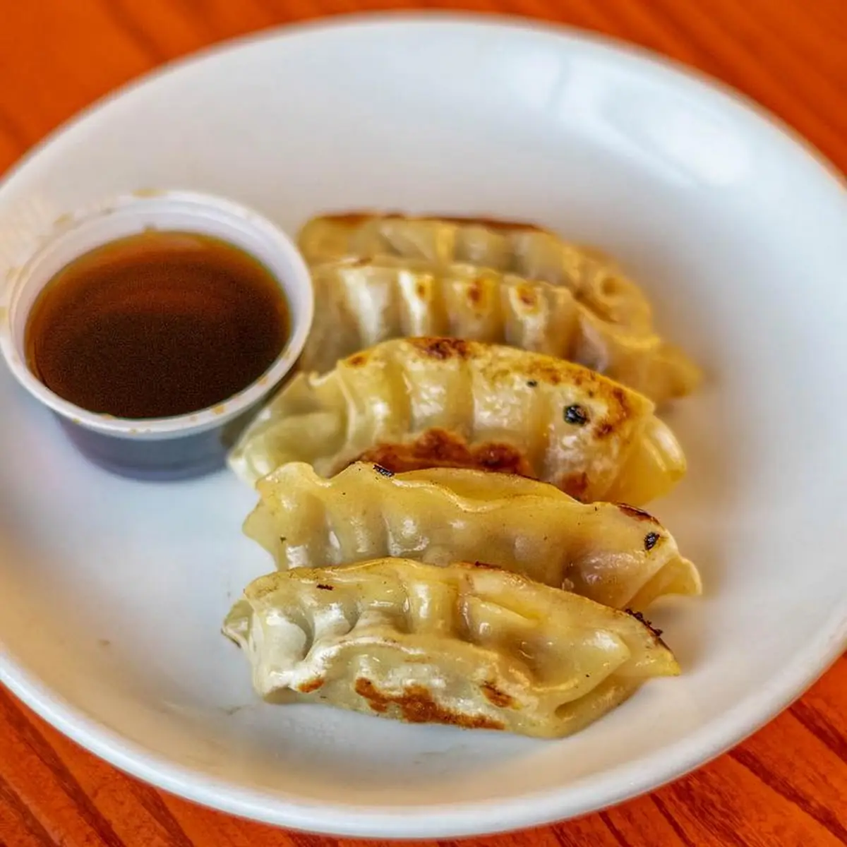 Gyoza