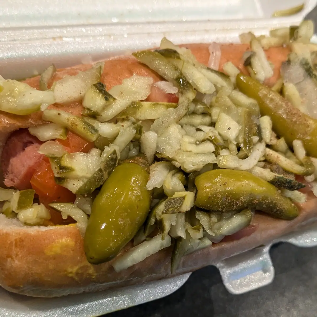 Chicago Dog