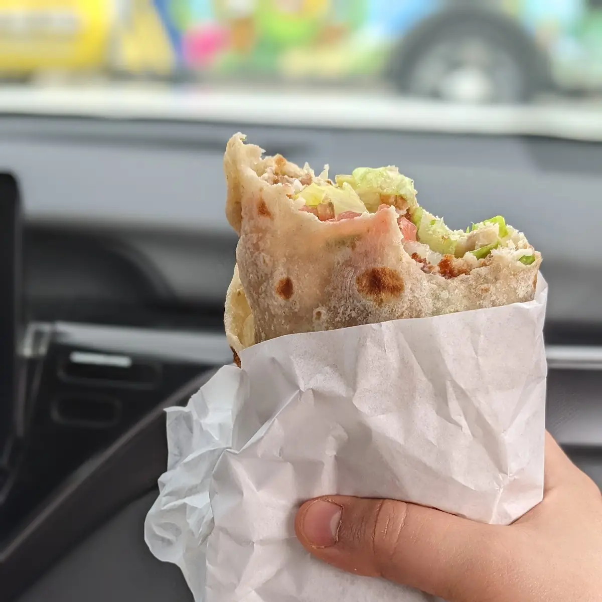 Fish Burrito