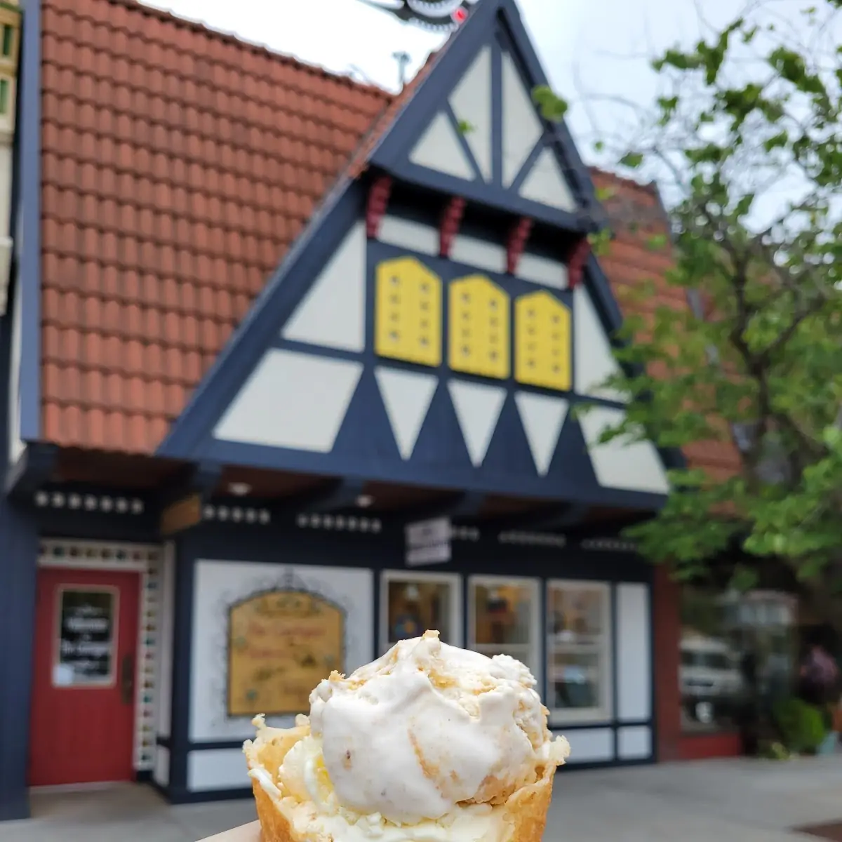 Double Dip Waffle Cone