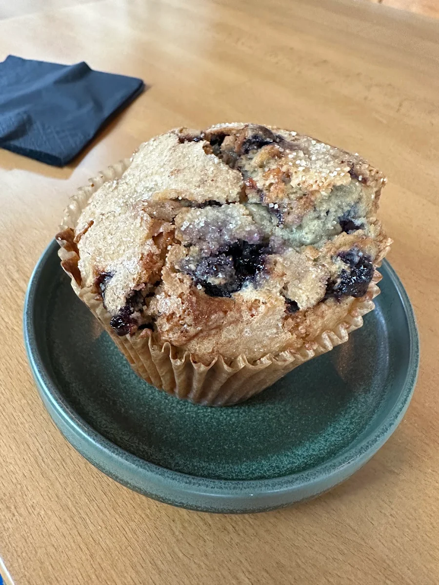 Blueberry Muffin
