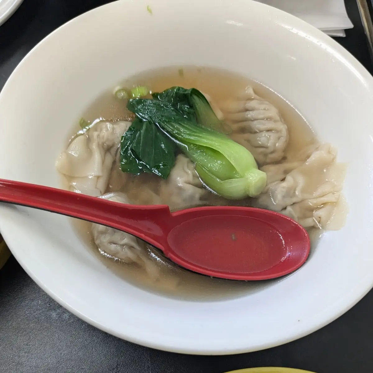 Chicken Wonton Soup