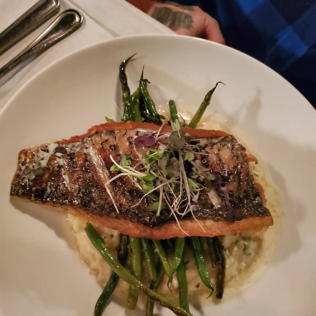 Striped Bass