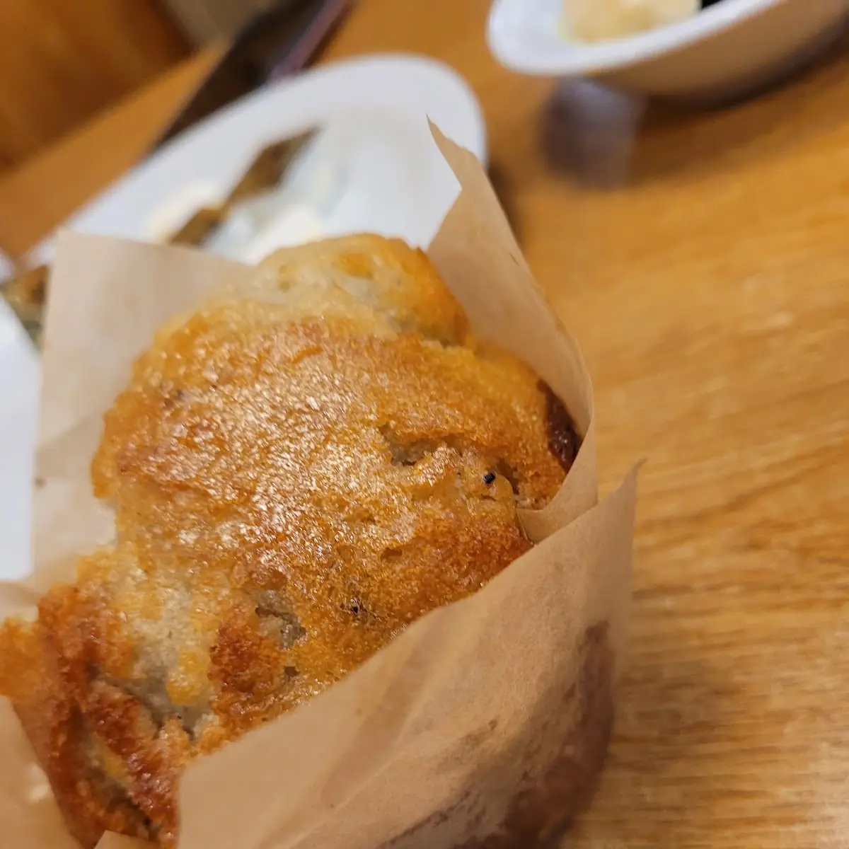 Blueberry Muffin