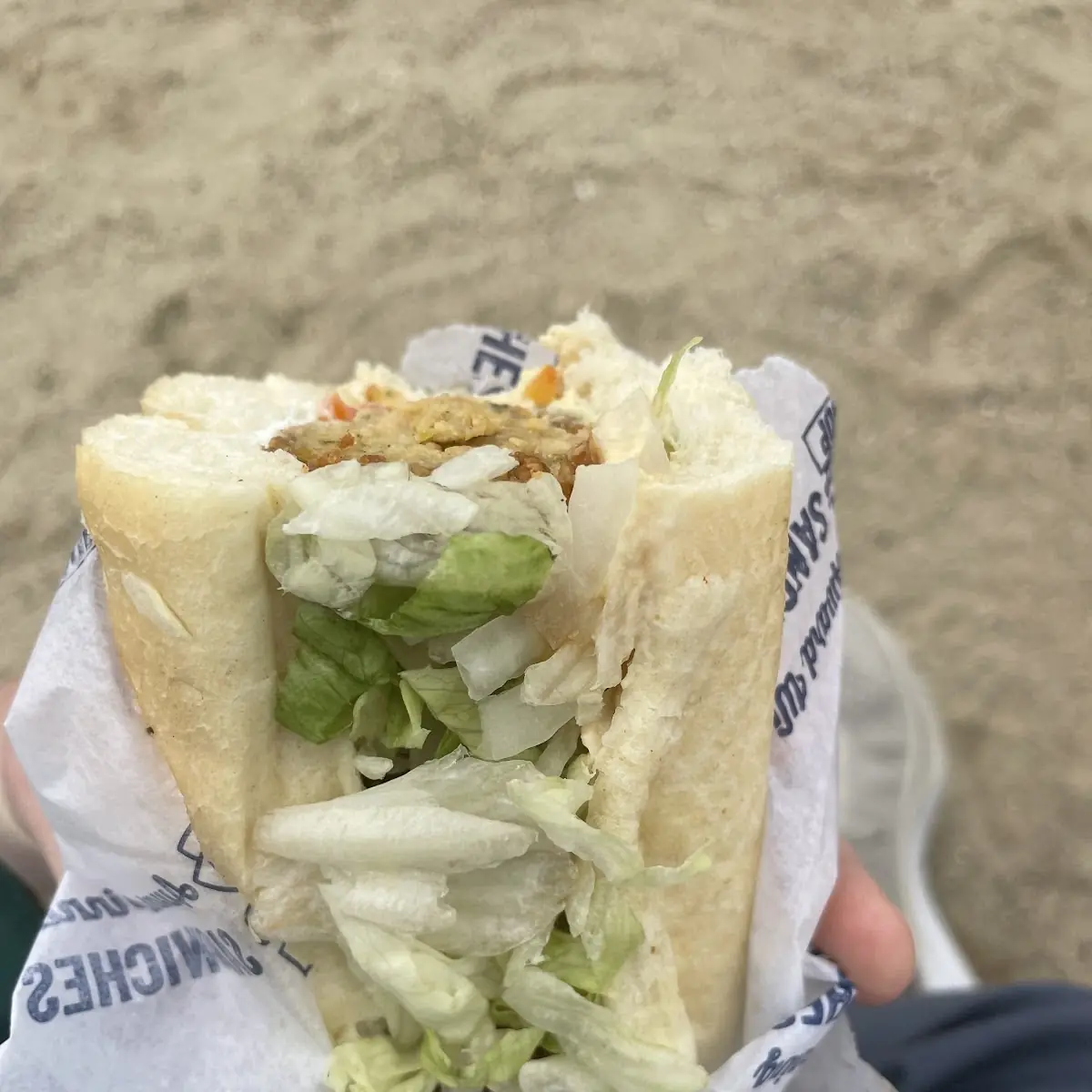 Falafel Sandwich
