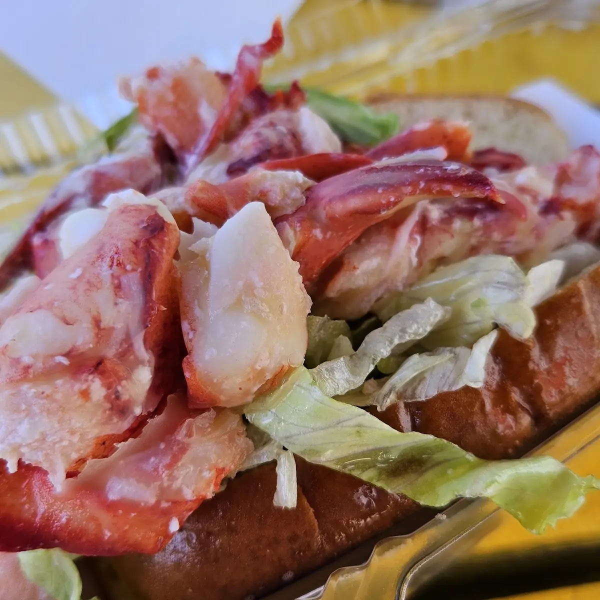 Lobster Roll