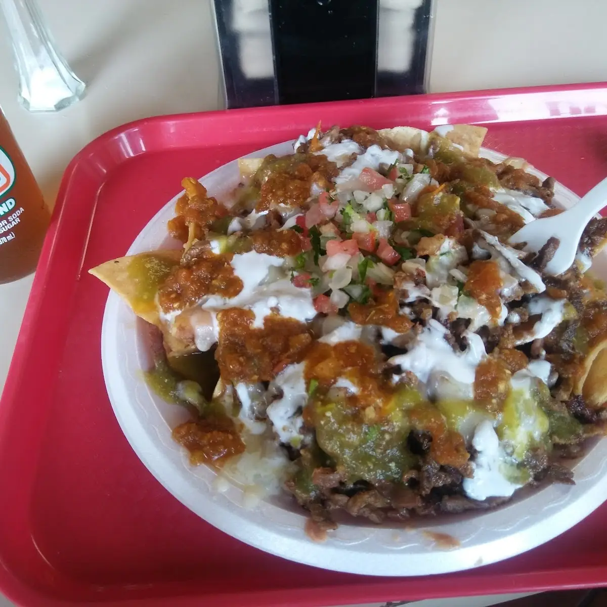 Carne Asada Fries