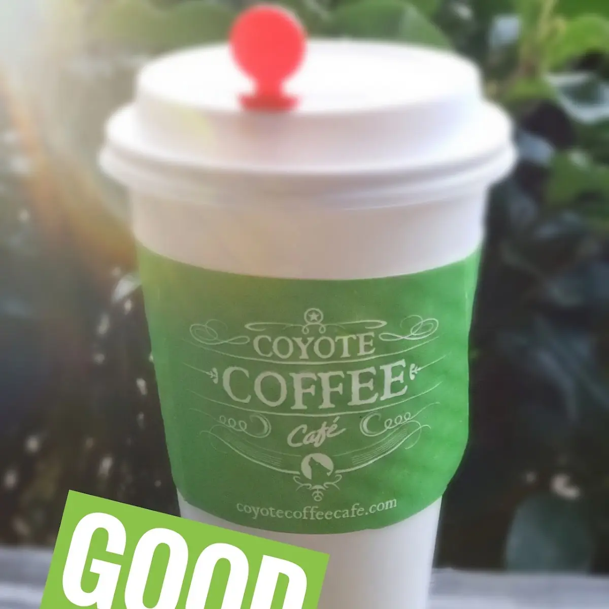 Coffee Fresh Brew Tastes Like a Columbian with an Ethiopian Kicker