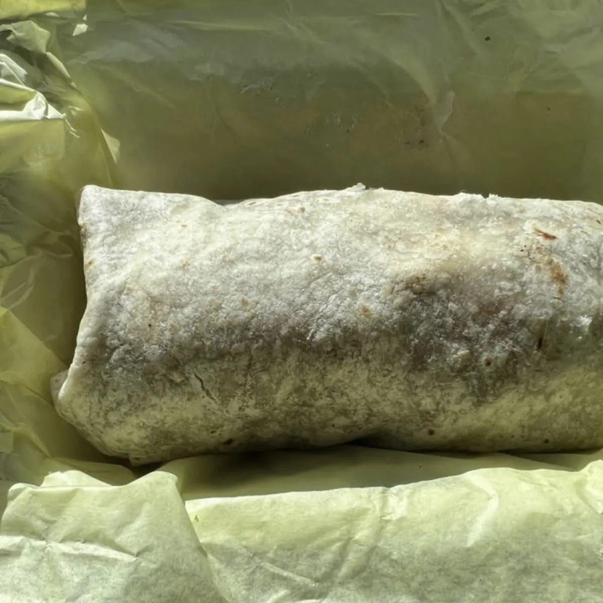 Carne Asada Burrito