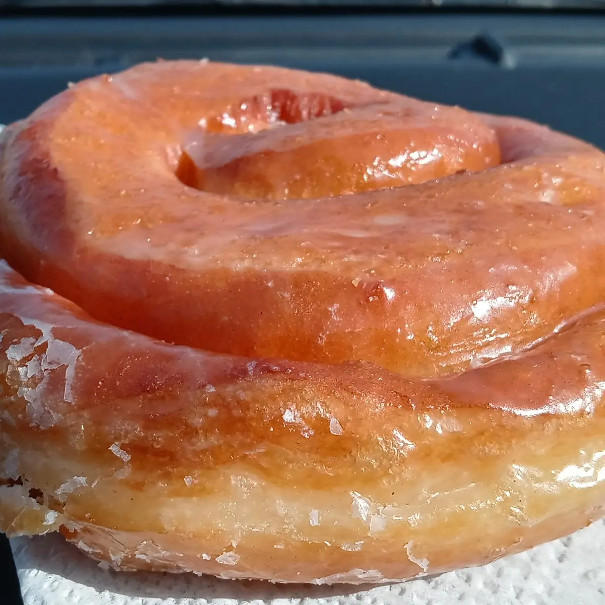 1 Dozen Donut Holes
