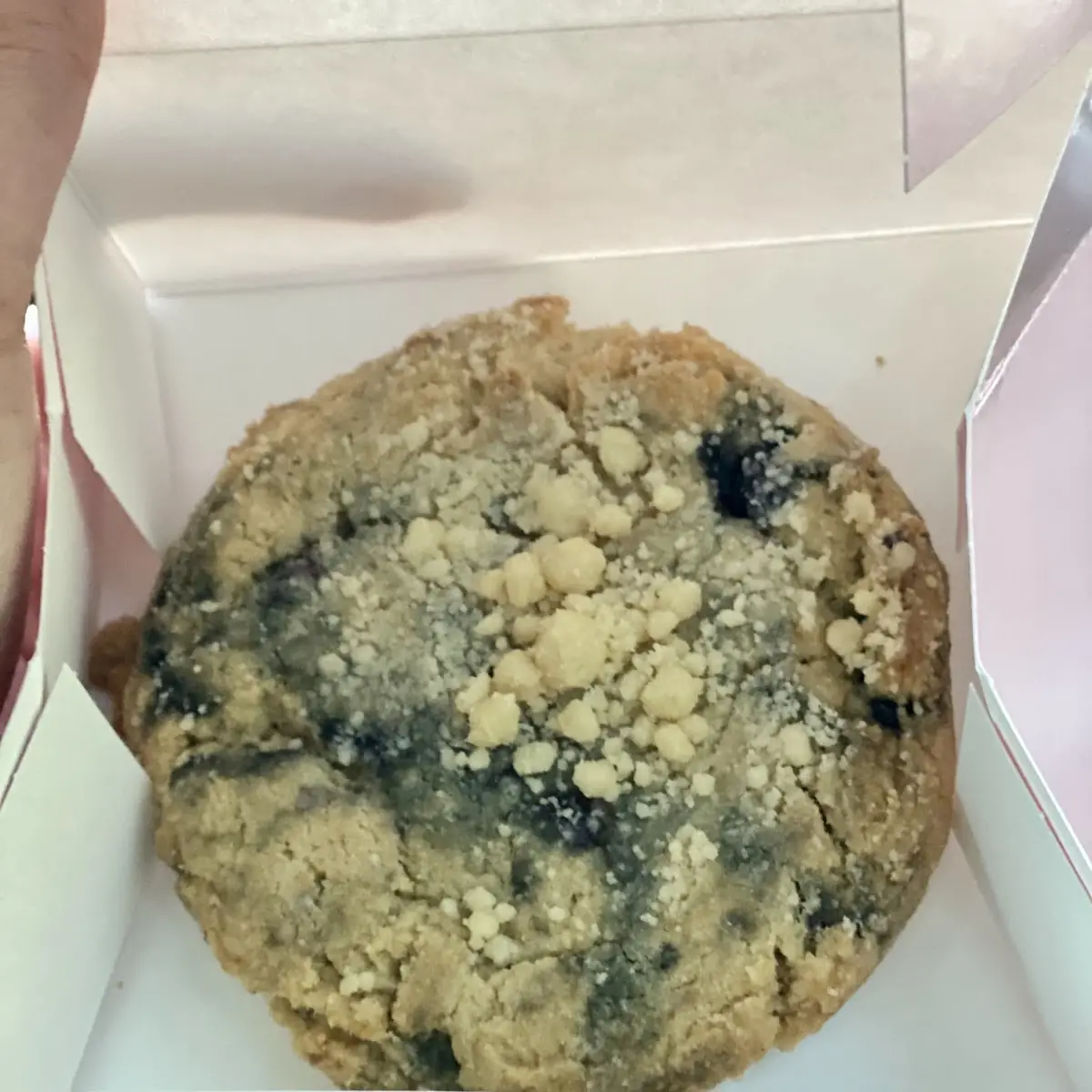 Blueberry Muffin