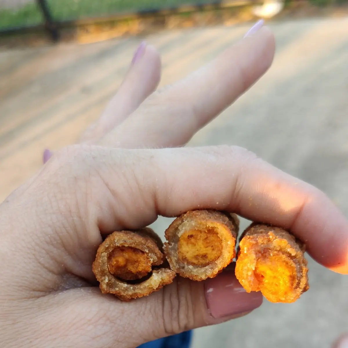 Sopose to Be Mozzarella Sticks