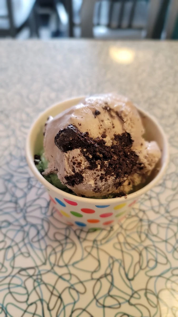 Mint and Double Chocolate Chip