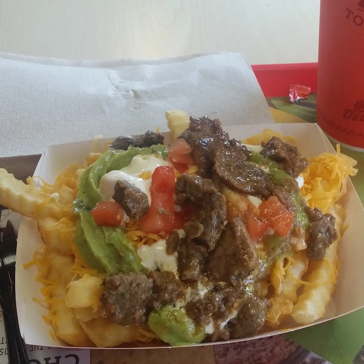 Carne Asada Fries