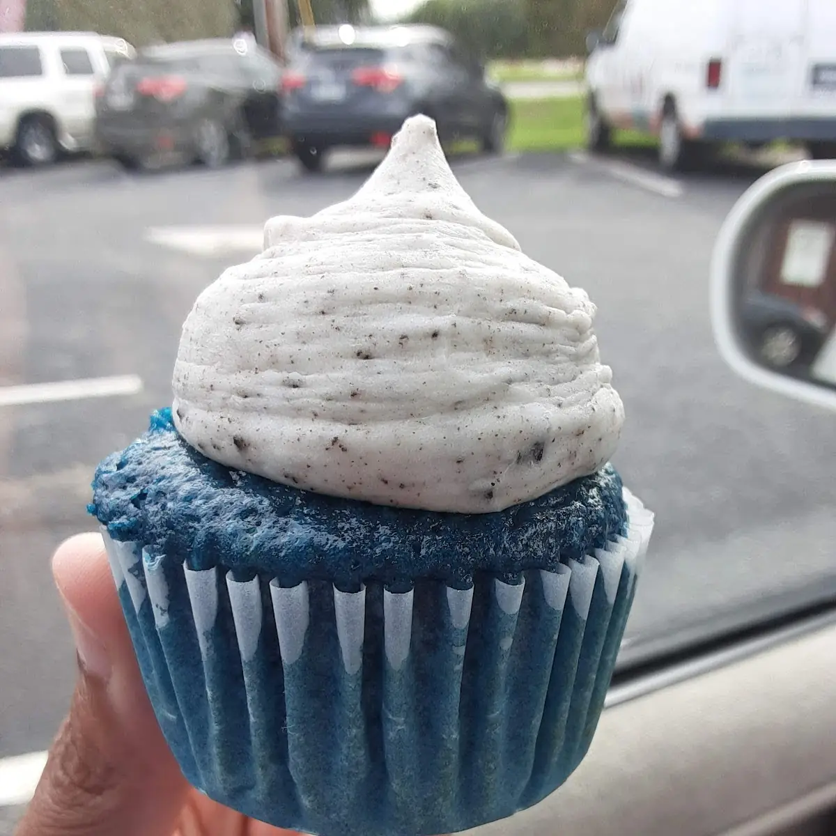 Blue Red Velvet Cupcake