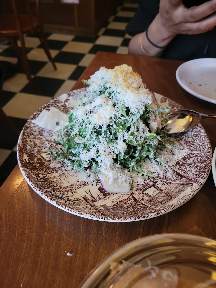 Arugula and Fennel Salad Pecorino Pangrattato